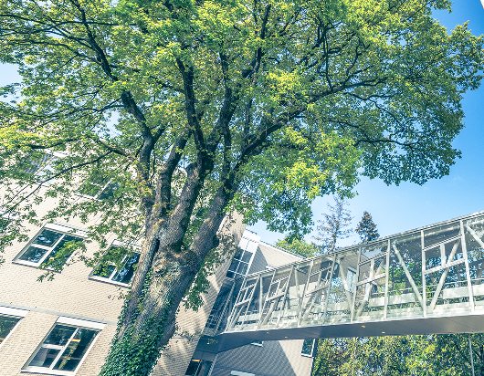 Base-Block-Item-Image