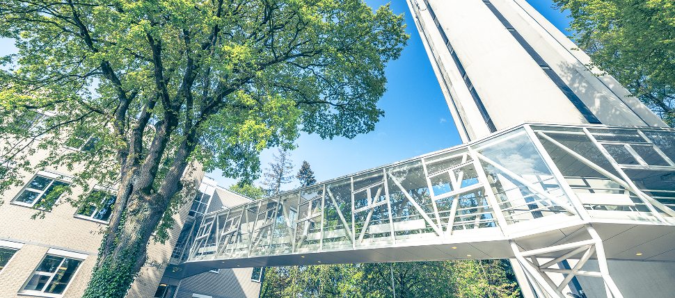 Base-Block-Item-Image